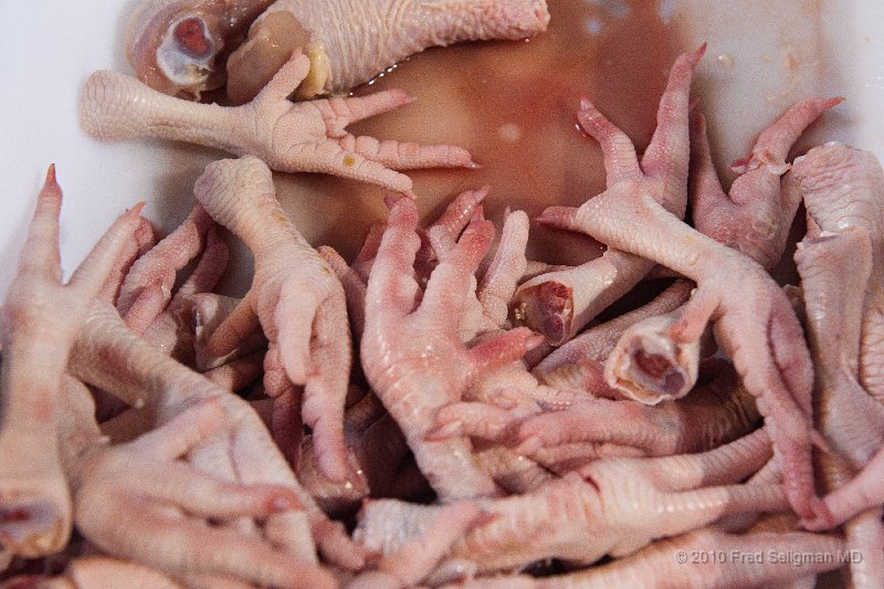20101202_115238 D3.jpg - Public Market, Casco Viejo, Panama.  These are chicken feet